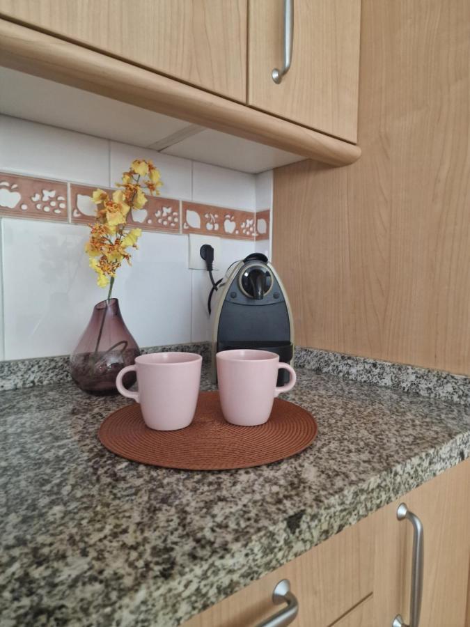 Picasso Apartment Málaga Dış mekan fotoğraf